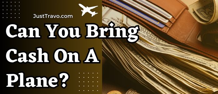 ¿Se puede llevar dinero en efectivo en un avión?