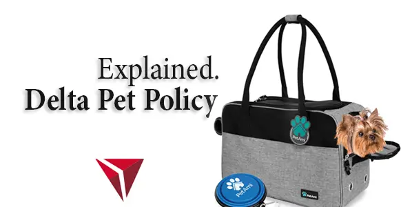 ¿Qué es la política de mascotas de Delta para 2024? La ultima guia