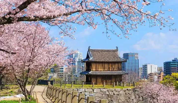 Vuelo directo de Singapur a Fukuoka: vuelos de SIN a FUK
