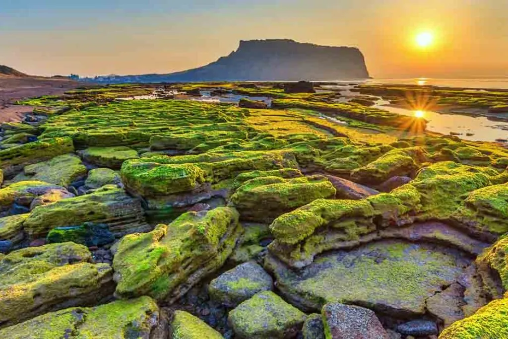 Vuelos directos de Singapur a Jeju (vuelos sin escalas de SIN a CJU)