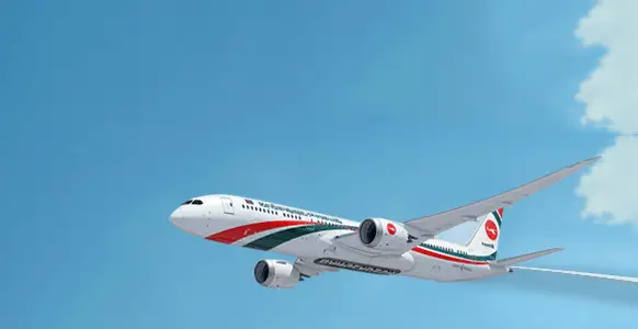 ¿Cuál es la franquicia de equipaje en Biman Bangladesh?