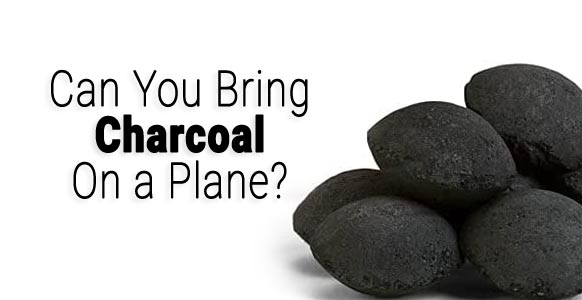 ¿Puedes llevar carbón en un avión? 2024