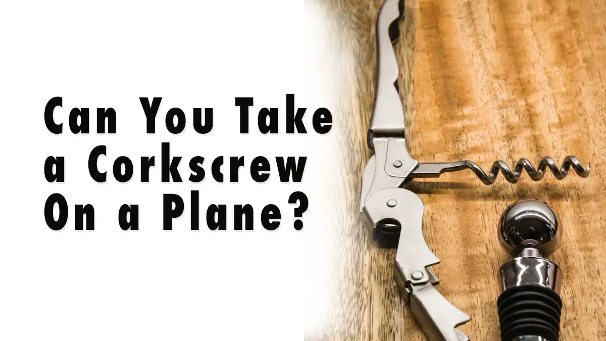 ¿Puedes llevar un sacacorchos en un avión? reglas de la TSA ¿Puedes llevar un sacacorchos en un avión? reglas de la TSA