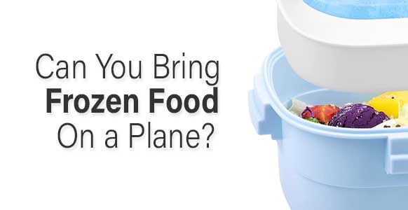 ¿Se puede llevar comida congelada en un avión? 2024