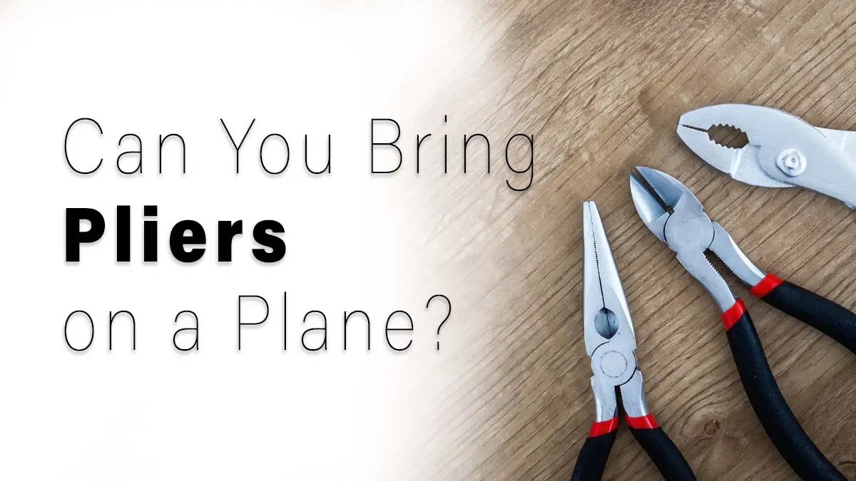¿Puedo llevar alicates en un avión? Reglas de la TSA 2024 ¿Puedo llevar alicates en un avión? Reglas de la TSA 2024
