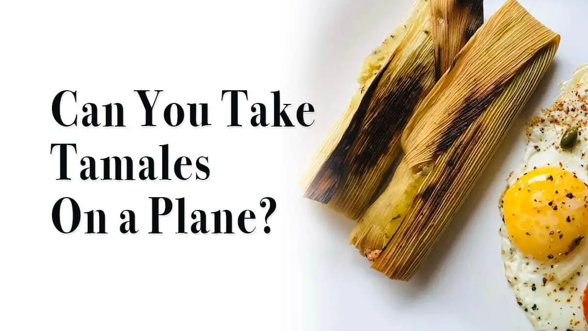¿Puedes llevar tamales en un avión? CST 2024 ¿Puedes llevar tamales en un avión? CST 2024