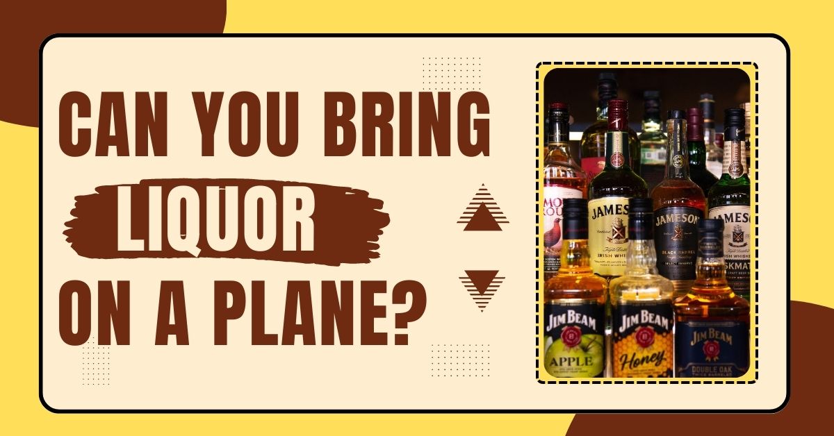 ¿Se puede llevar alcohol en un avión? Reglas de alcohol de la TSA