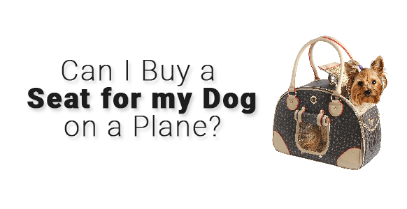 ¿Qué aerolíneas permiten que los perros compren un asiento?