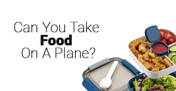 ¿Qué alimentos no están permitidos en el avión?