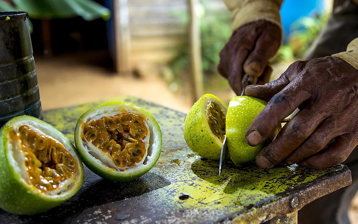 Se han encontrado frutas en Estados Unidos pero no en República Dominicana