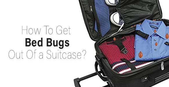 ¿Cómo sacar las chinches de tu maleta? (Guía completa)
