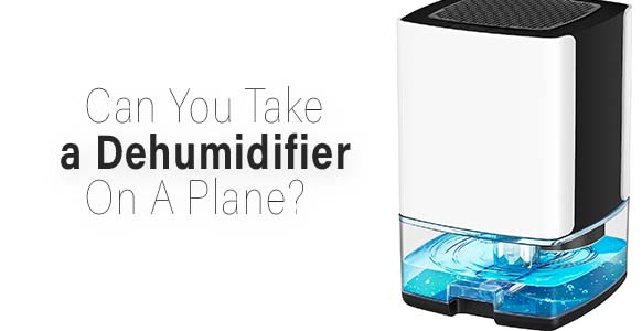 ¿Se puede llevar un deshumidificador en un avión? 2024 (reglas de la TSA)