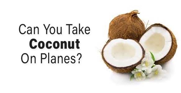 ¿Puedes llevar un coco en un avión? Reglas de la TSA 2024