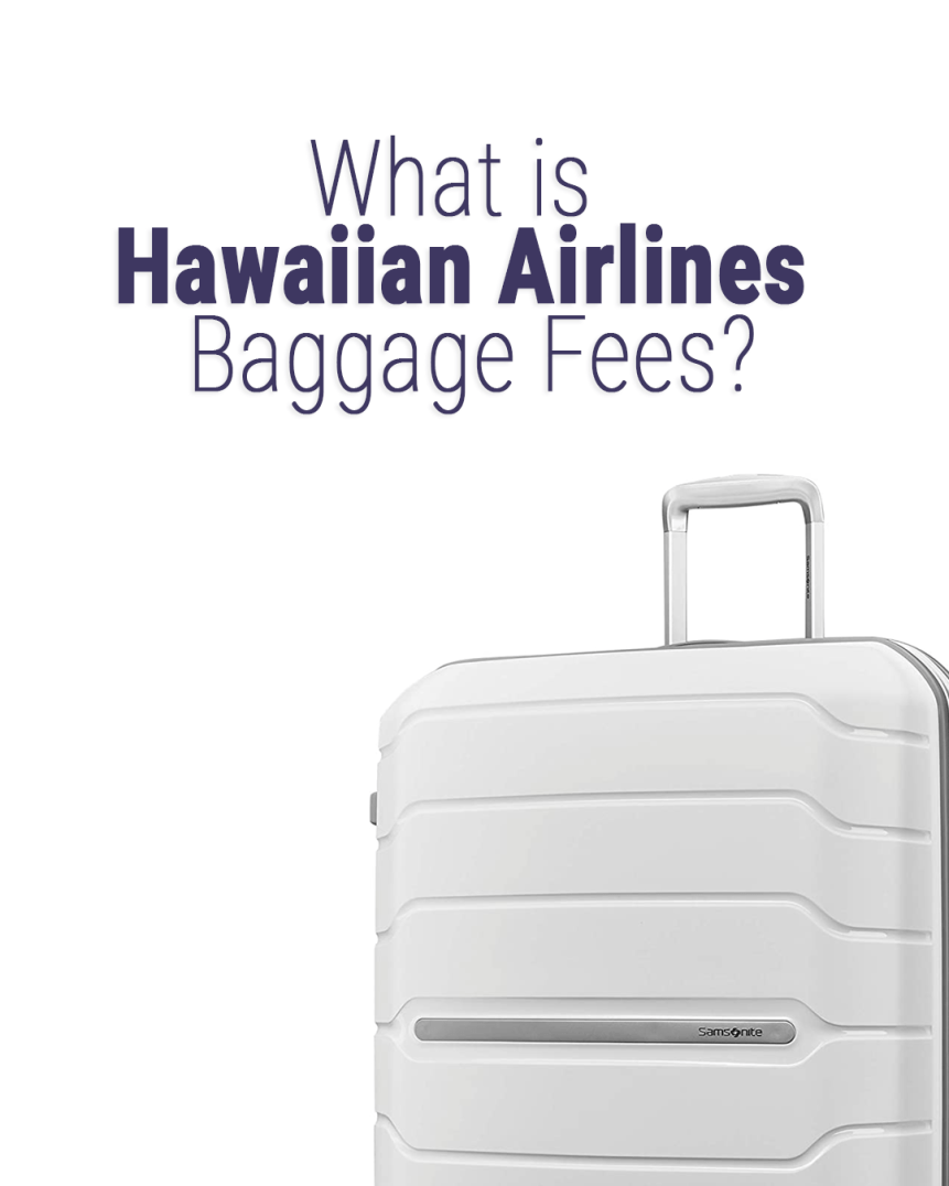 ¿A cuánto ascienden las tarifas de equipaje de Hawaiian Airlines? 2024