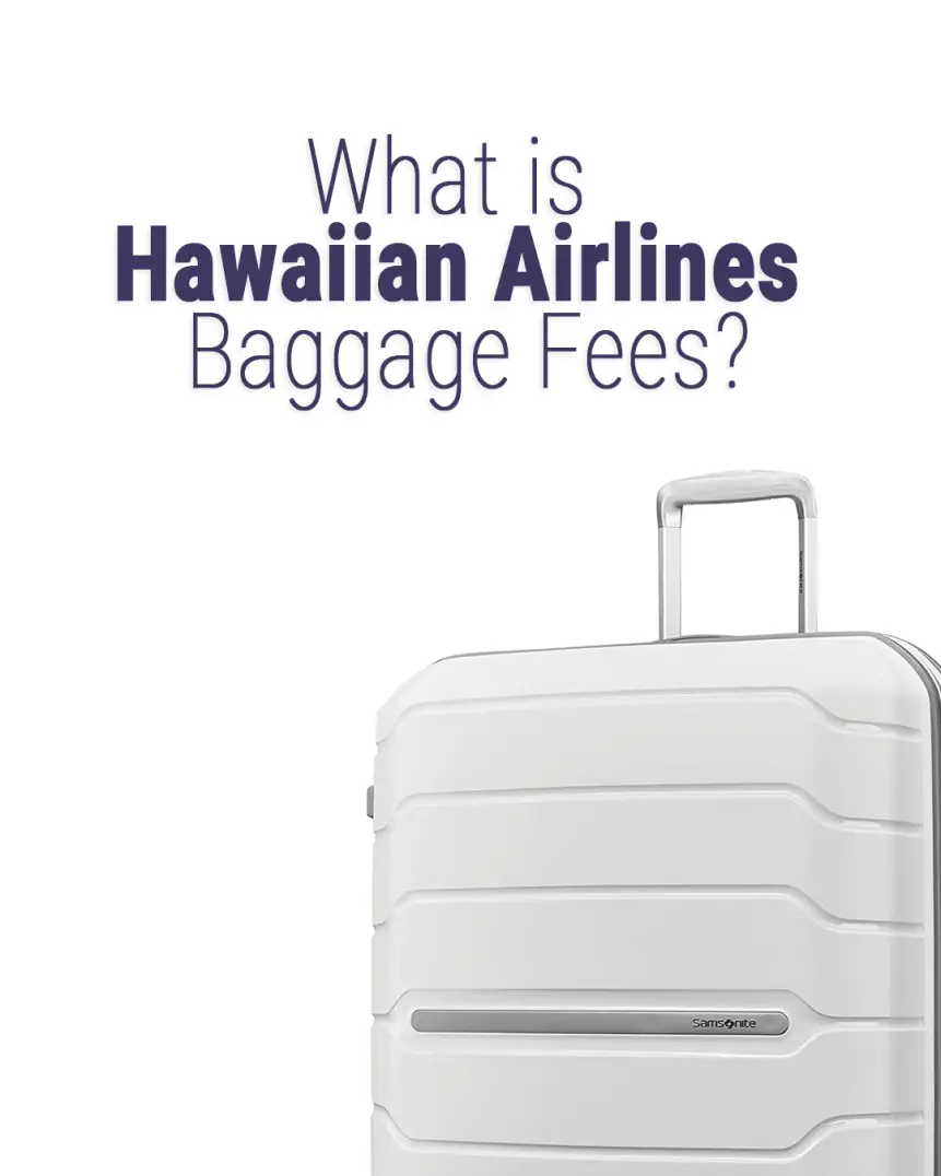 ¿A cuánto ascienden las tarifas de equipaje de Hawaiian Airlines? 2024 ¿A cuánto ascienden las tarifas de equipaje de Hawaiian Airlines? 2024