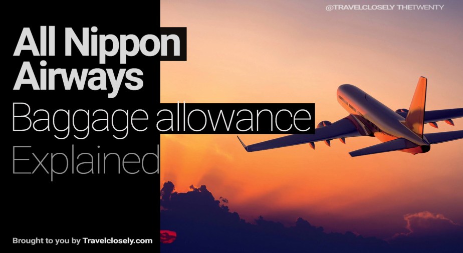 ¿Cuál es la franquicia de equipaje en Nippon Airways?