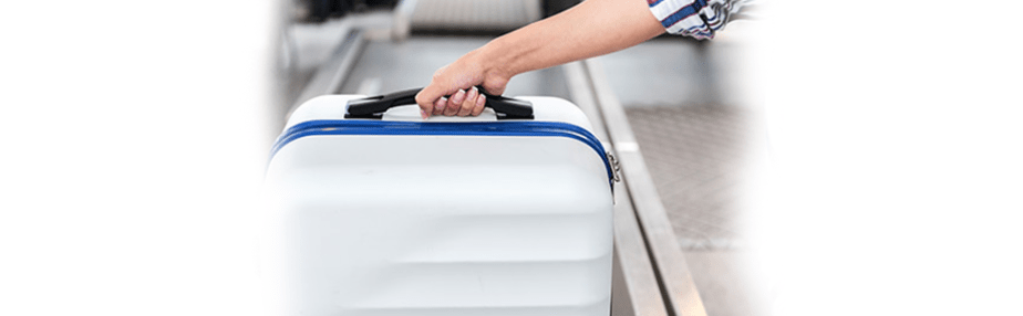 ¿Cuál es la franquicia de equipaje en Skymark Airlines?