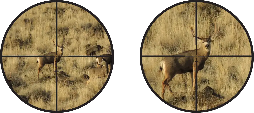 ¿Los francotiradores utilizan miras de primer o segundo plano focal?
