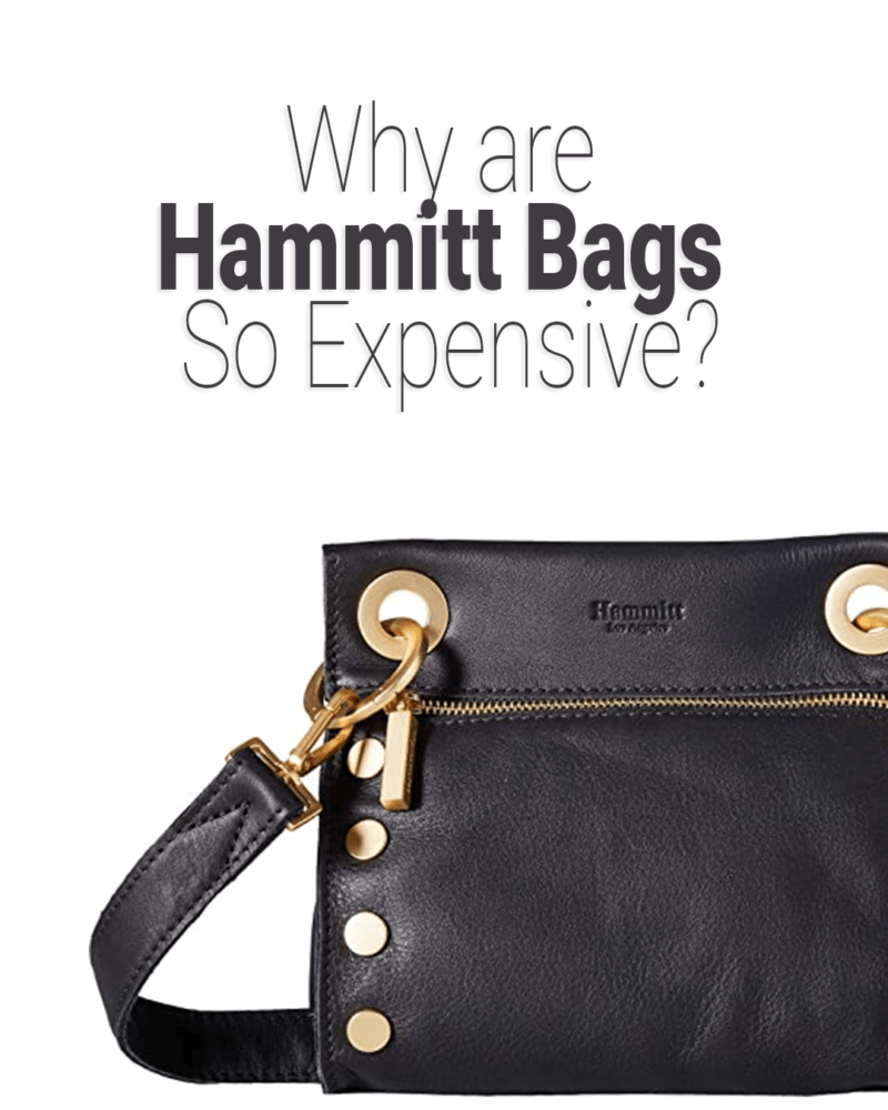¿Por qué son tan caras las bolsas Hammitt?