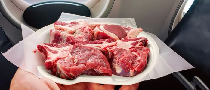¿Puedes llevar carne en un avión?