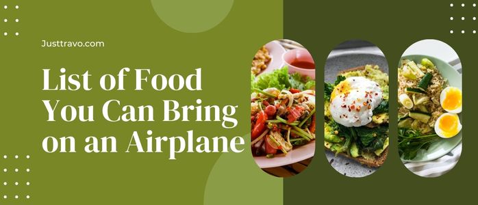 ¿Puedes llevar comida en un avión? Restricciones y pautas de la TSA