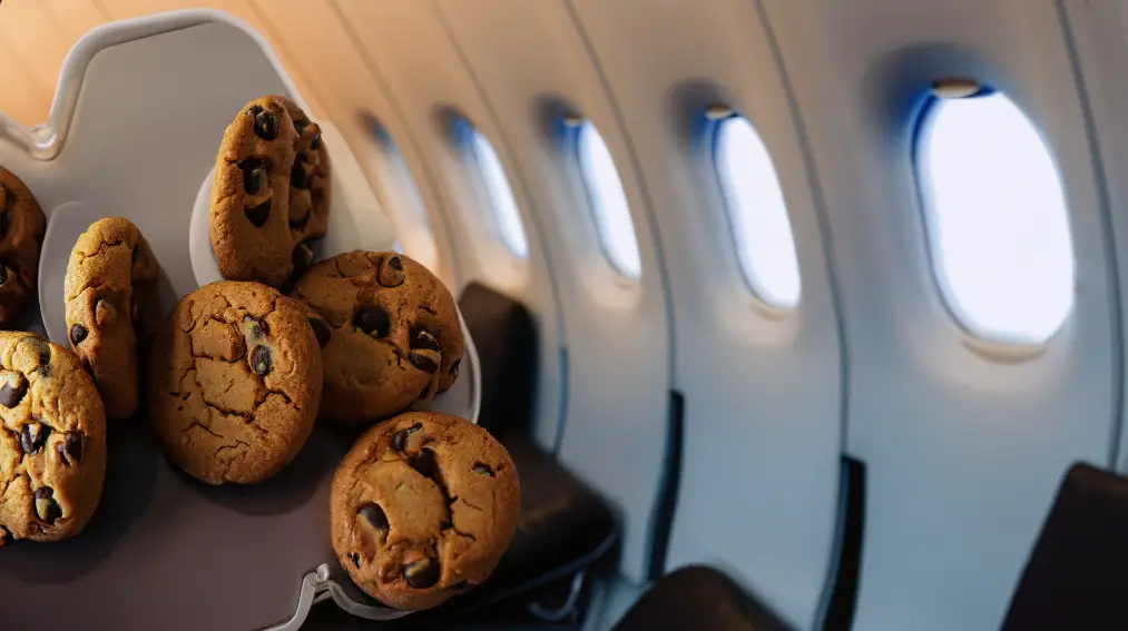 ¿Puedes llevar galletas en un avión? ¿Puedes llevar galletas en un avión?
