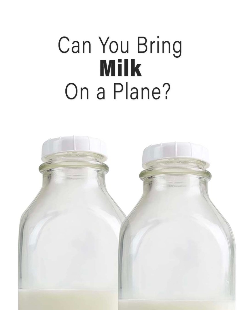 ¿Puedes llevar leche en un avión? Reglas de la TSA 2024