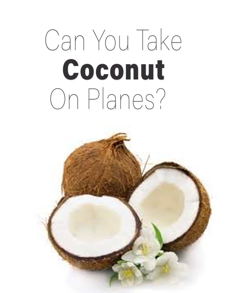 ¿Puedes llevar un coco en un avión? Reglas de la TSA 2024 ¿Puedes llevar un coco en un avión? Reglas de la TSA 2024