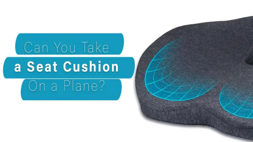 ¿Puedes llevar un cojín de asiento en un avión? ¿Puedes llevar un cojín de asiento en un avión?
