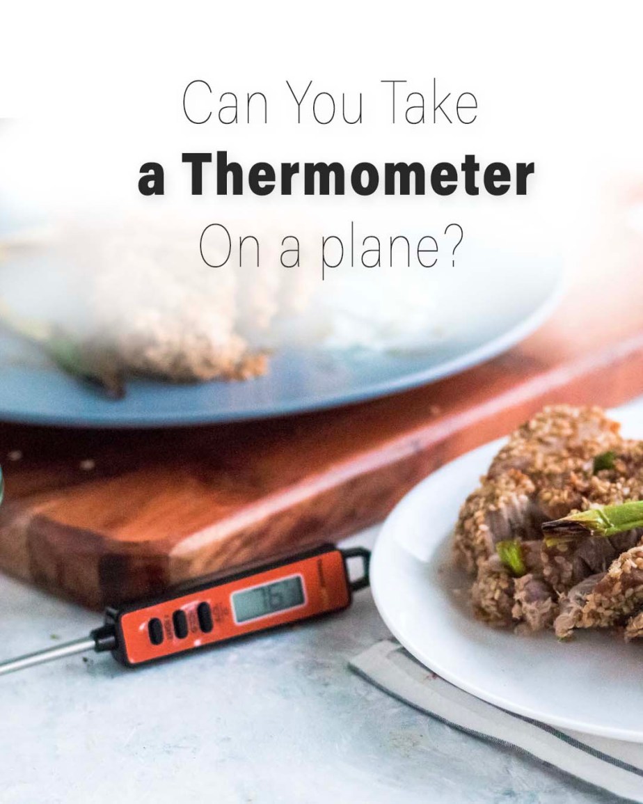 ¿Puedes llevar un termómetro en un avión? (carne, clima, etc.)