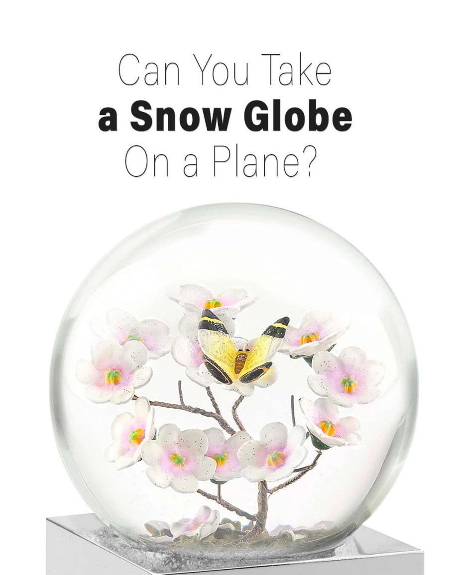 ¿Puedes llevar una bola de nieve en un avión? 2024