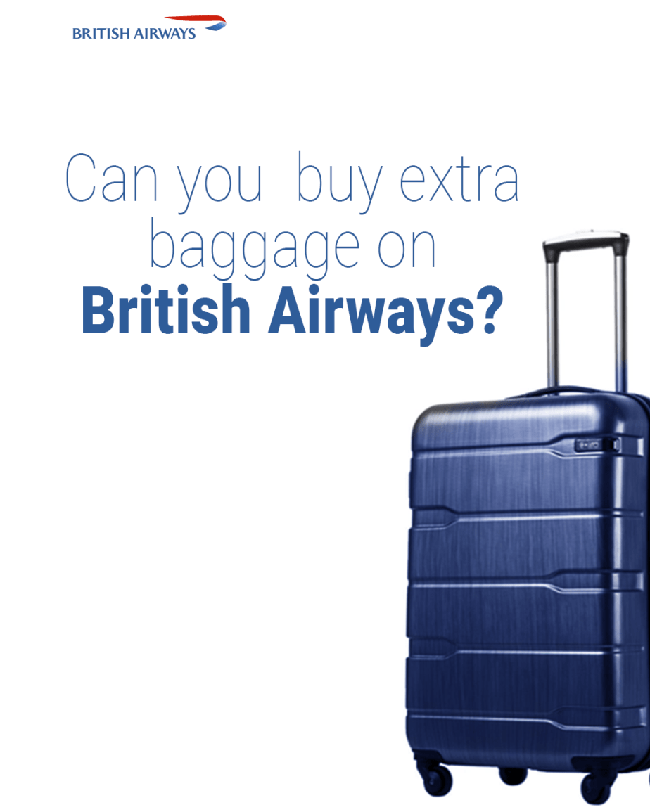 ¿Puedo comprar equipaje adicional con British Airways?