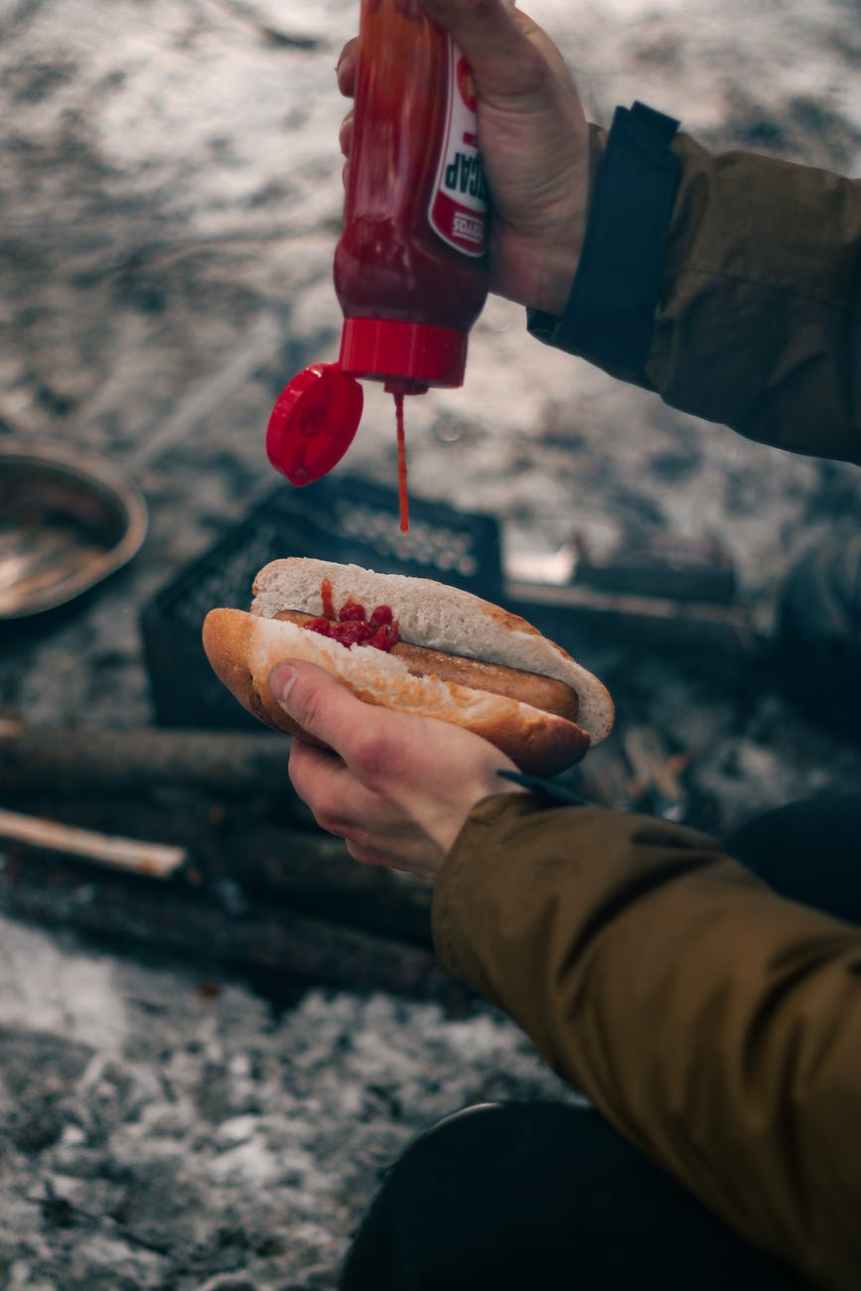 ¿Puedo llevar un sándwich en el avión? 2024