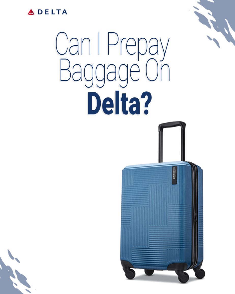 ¿Puedo pagar por adelantado el equipaje en Delta?