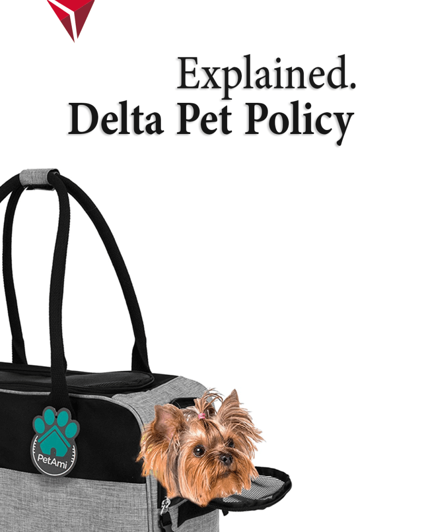 ¿Qué es la política de mascotas de Delta para 2024? La ultima guia