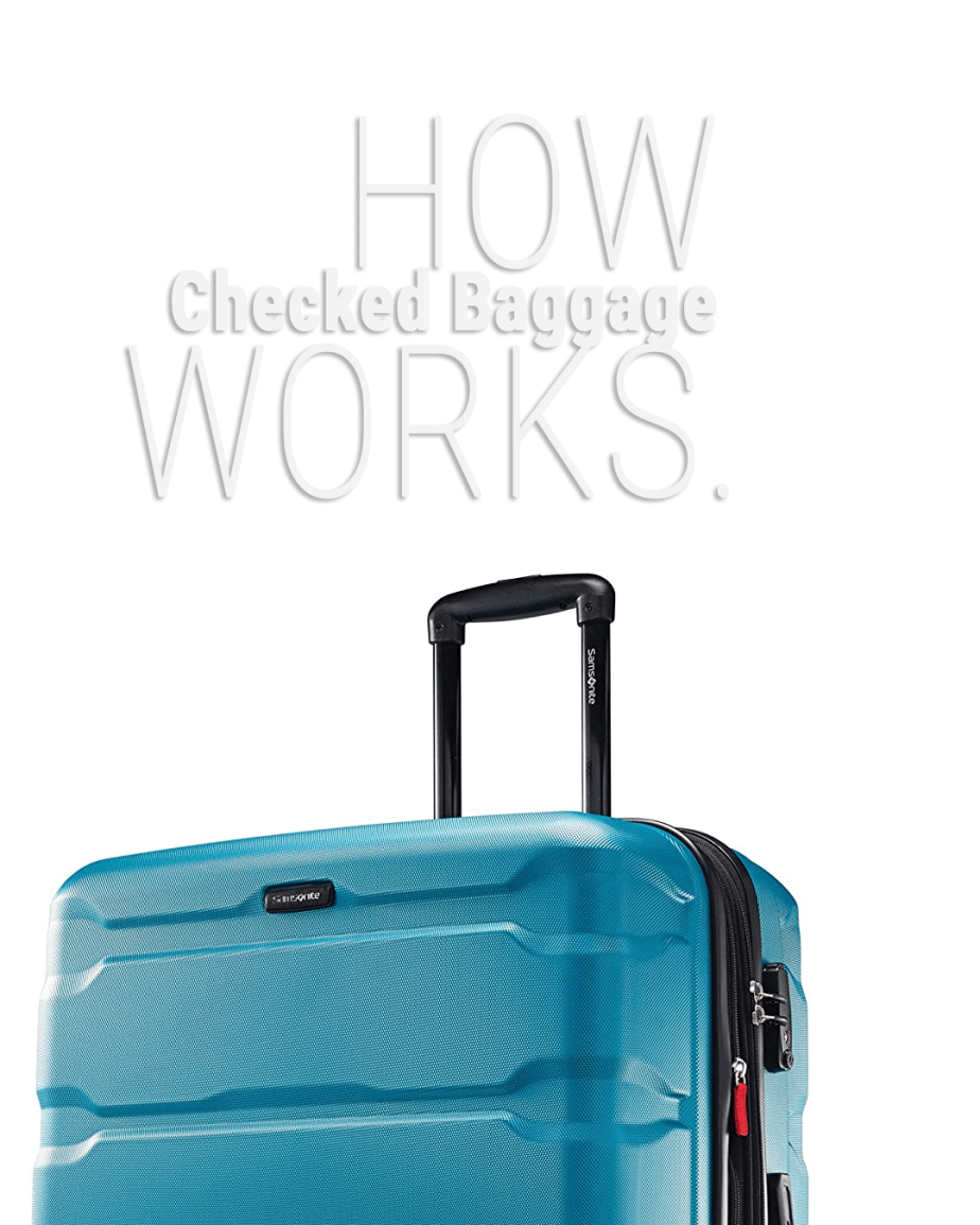 ¿Qué significa equipaje facturado?