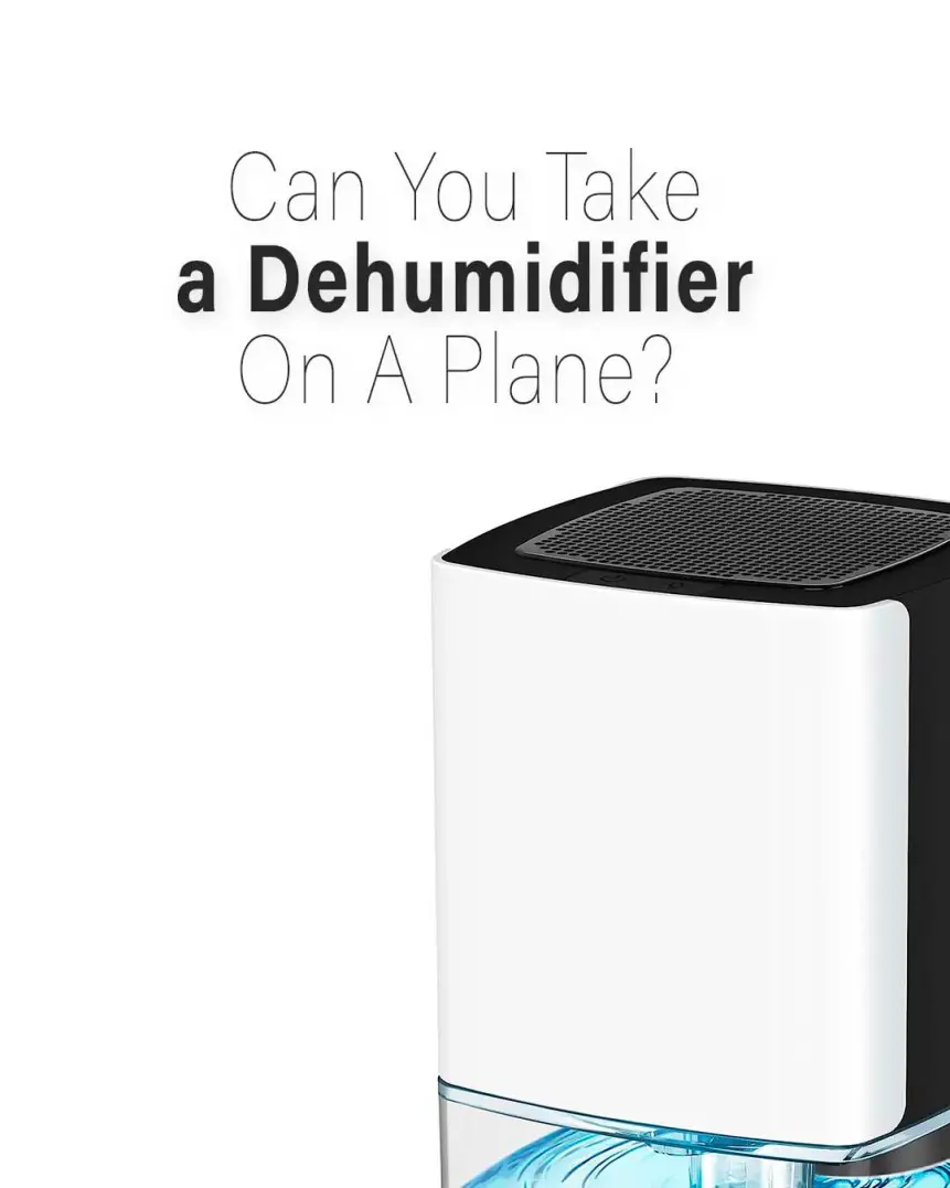 ¿Se puede llevar un deshumidificador en un avión? 2024 (reglas de la TSA) ¿Se puede llevar un deshumidificador en un avión? 2024 (reglas de la TSA)